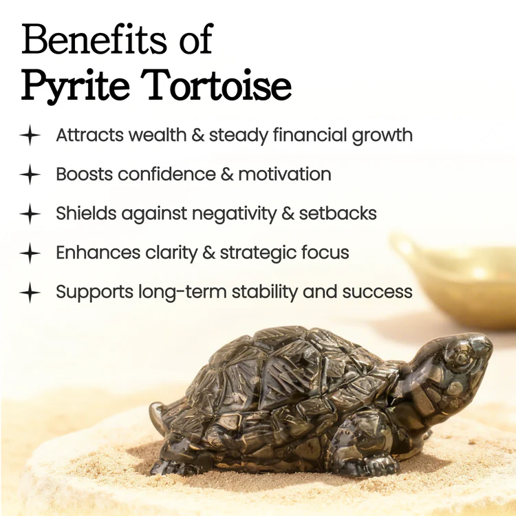 Pyrite Tortoise (Kachhua) for Money, Protection & Vastu - Image 6