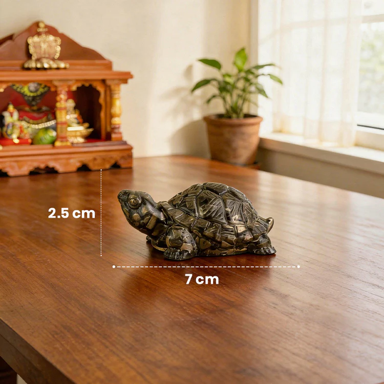 Pyrite Tortoise (Kachhua) for Money, Protection & Vastu - Image 3